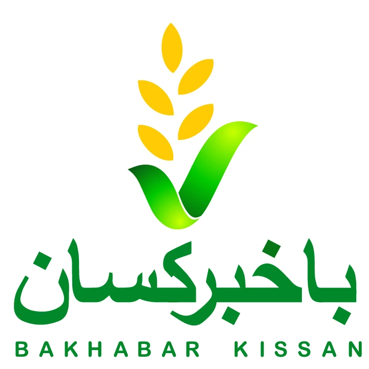 BKK Pvt Ltd logo